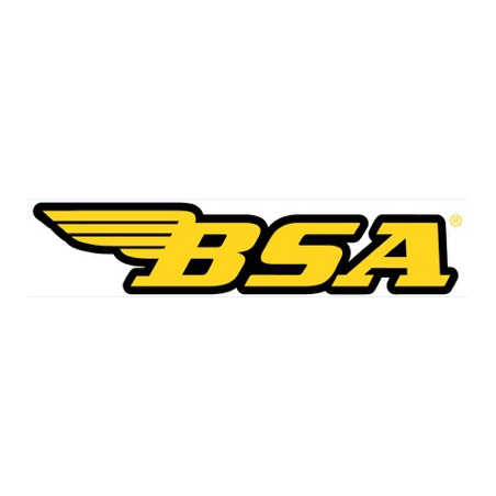 BSA